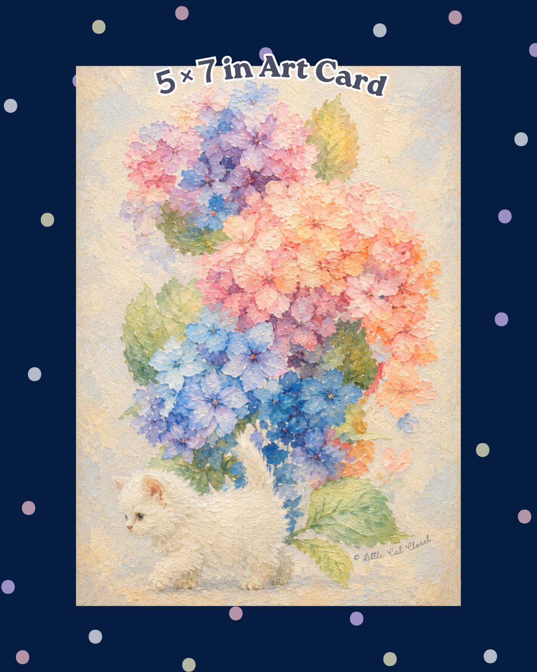 Little Cat Closet Club【６月号】