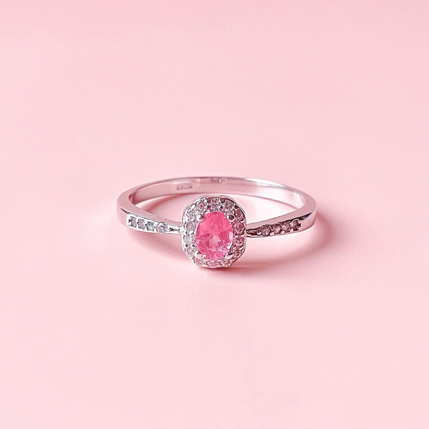 Burmilla pink