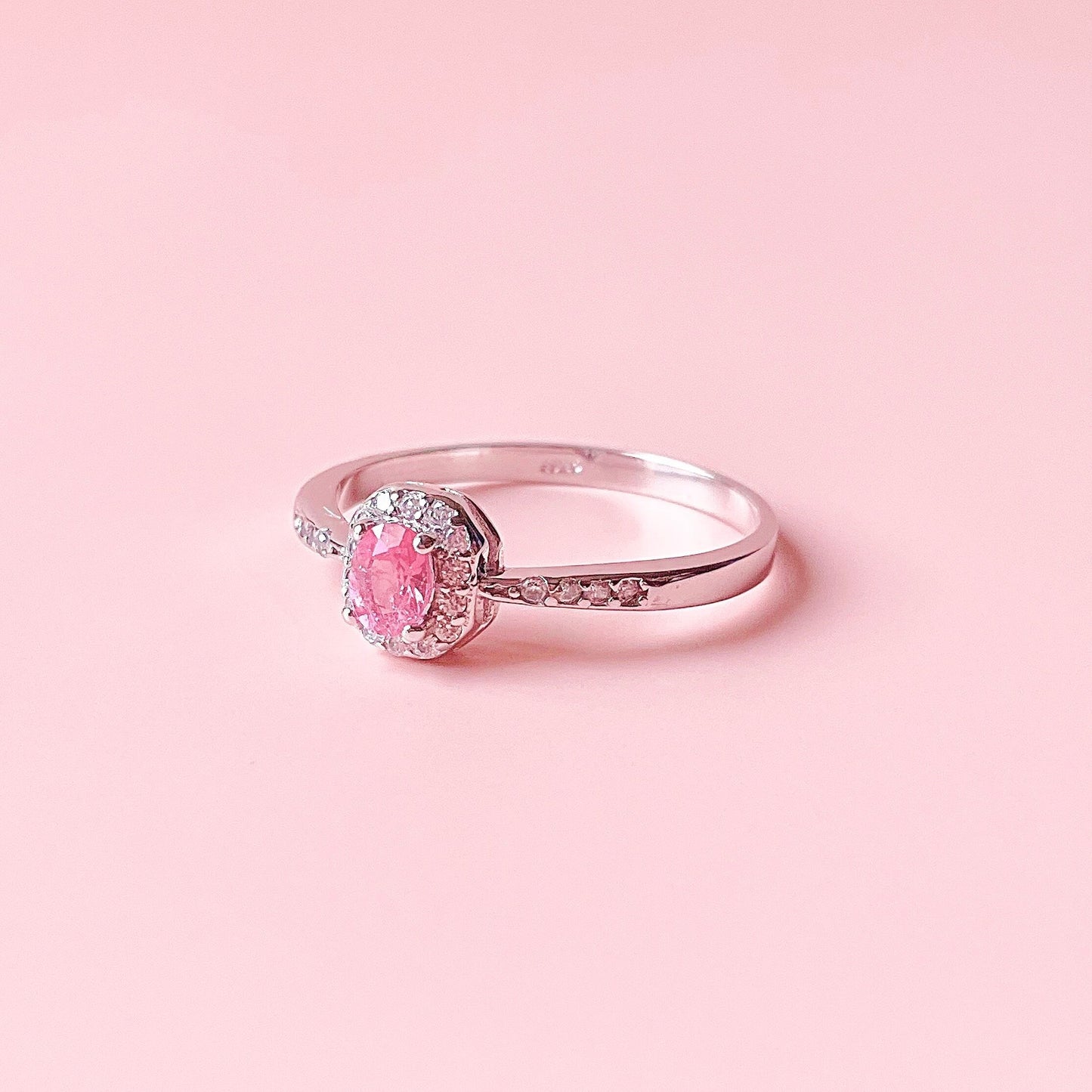 Burmilla pink