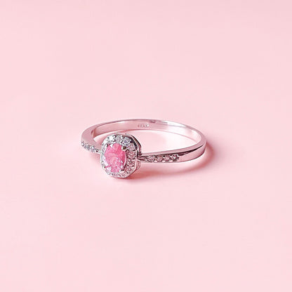 Burmilla pink