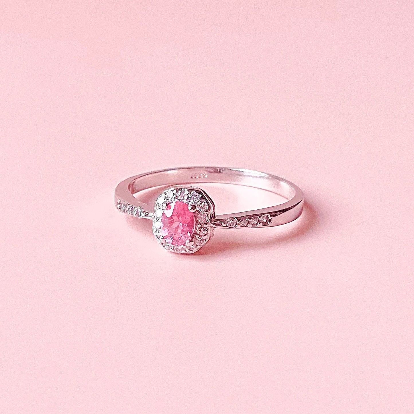 Burmilla pink