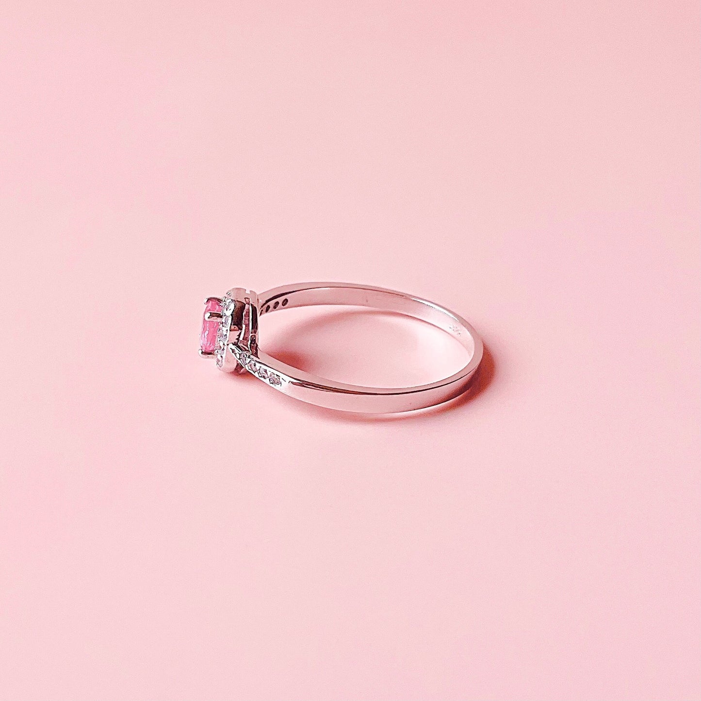 Burmilla pink